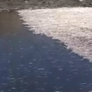 antakyada balik olumleri FWQOWzM4