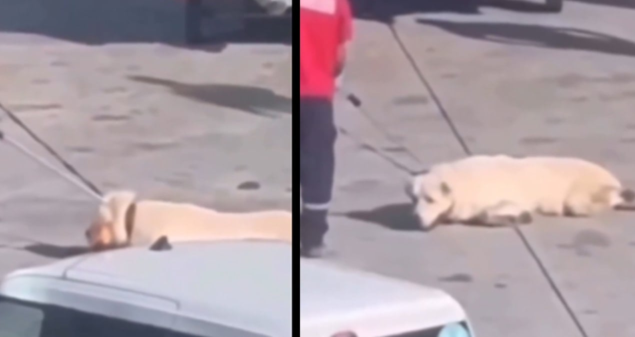 havalimanindaki skandal goruntu sonrasi igadanaciklama GiuNsBqr