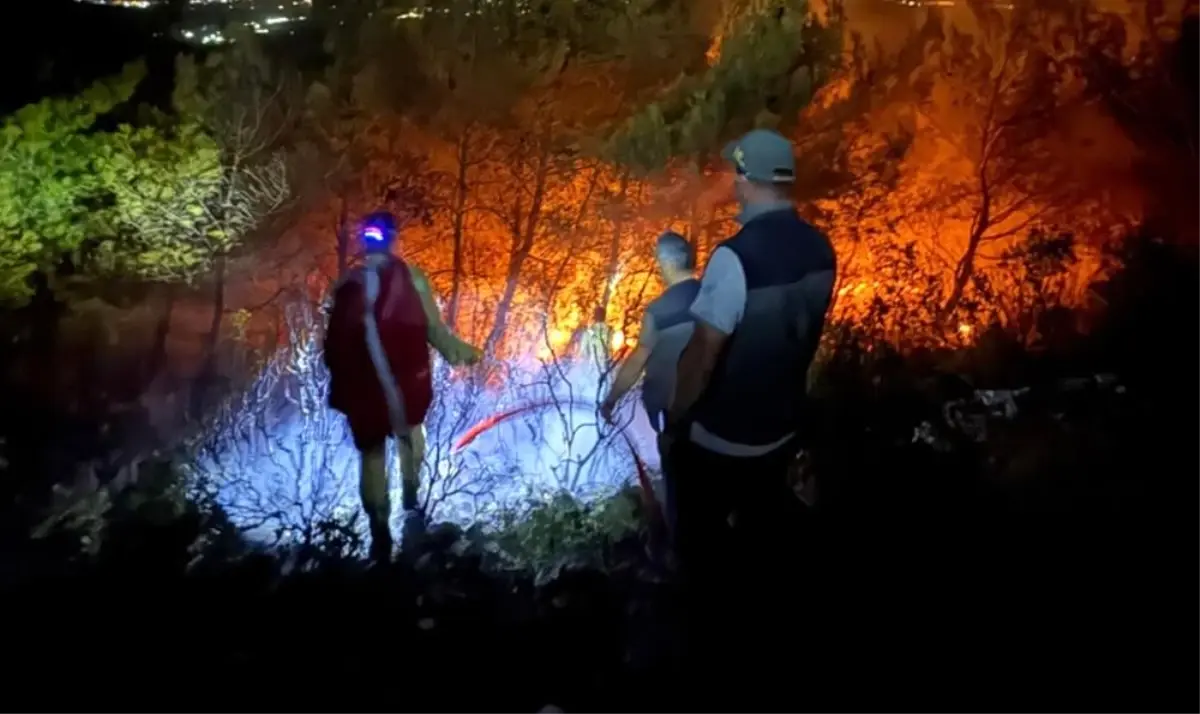 sokede orman yangini kontrol altina alindi XKrcOTRB