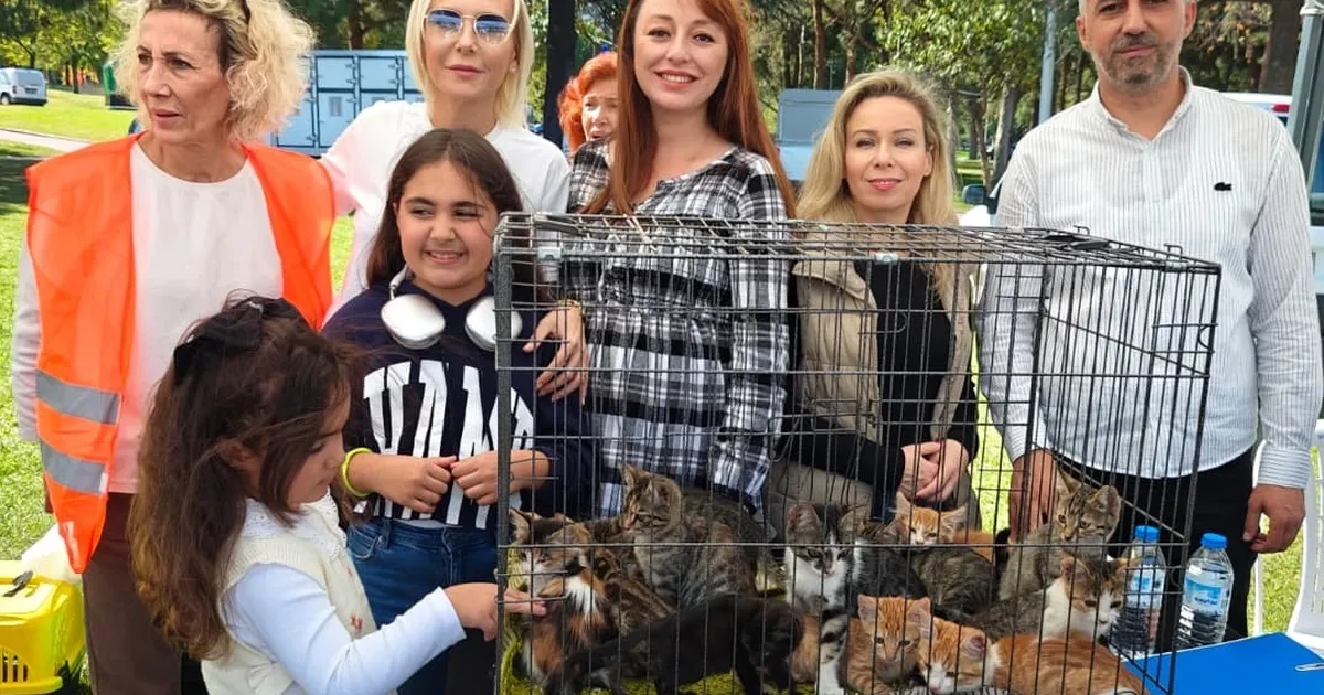 satin alma sahiplen etkinliginde can dostlara yeni yuvalar 5k97aZAO